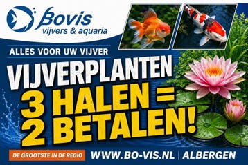 VIJVERPLANTEN GROOT ASSORTIMENT - Bij Bovis Twente, Ophalen, Nieuw, Overige typen