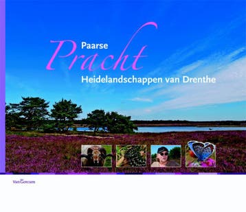 Paarse Pracht - Hans Dekker 9789023246756, Verzenden, Gelezen, Hans Dekker