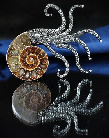 Geen reserveprijs Prachtige ammoniet hanger/broche