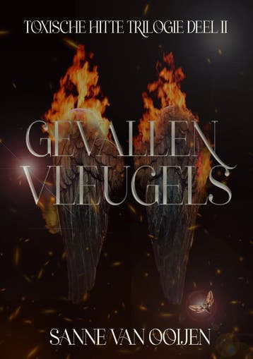 Gevallen Vleugels | Sanne Ooijen | Nieuw, Boeken, Ophalen of Verzenden, Nieuw, Sanne Ooijen