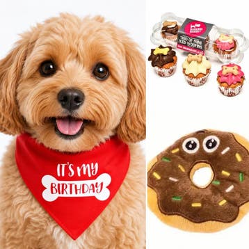 Honden verjaardag set XL met ballonnen, slinger en bandana, Ophalen of Verzenden, Nieuw, Overige typen