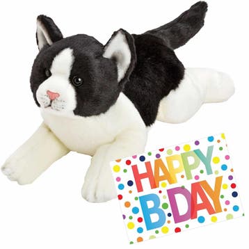Pluche kat knuffel - zwart/wit - 33 cm - met, Verzenden, Nieuw