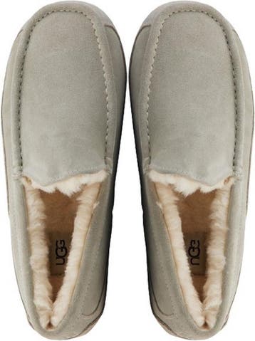 UGG - maat 43- Ascot Heren Sloffen, Verzenden, Nieuw