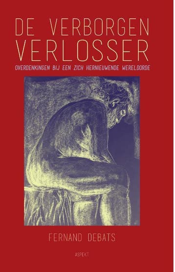 De Verborgen Verlosser | Fernand Debats | Nieuw, Ophalen of Verzenden, Nieuw, Fernand Debats