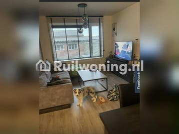 Ruim huis in gezellig Raamsdonksveer