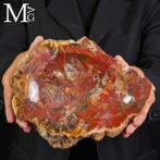 Met de hand gemaakt petrified wood opbergdoosje - Een