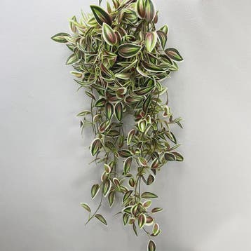 75cm Hangende Kunstplant - Zijde Bamboe Wingerd met Bladeren, Verzenden, Nieuw