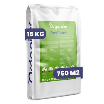 Herstelgazon Graszaad – Resilient (15 kg voor 750 m2), Verzenden, Gehele jaar, Volle zon