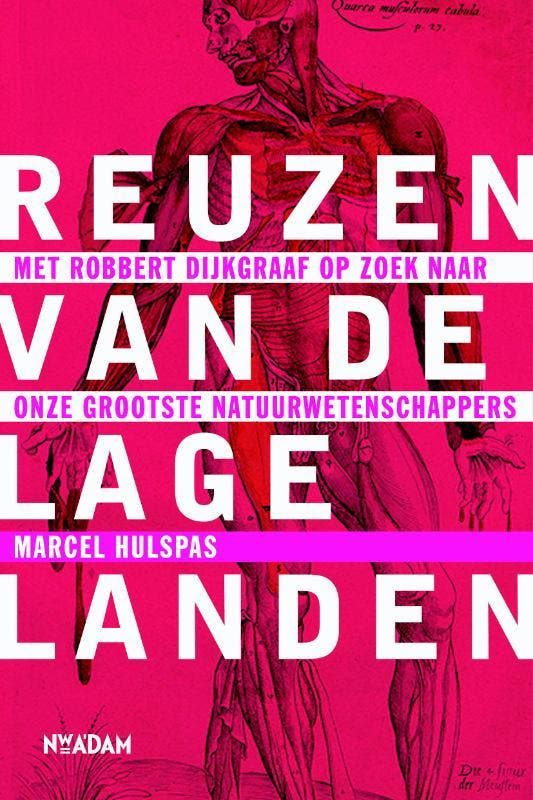 Reuzen van de lage landen 9789046813171 Marcel Hulspas, Boeken, Geschiedenis | Wereld, Gelezen, Verzenden