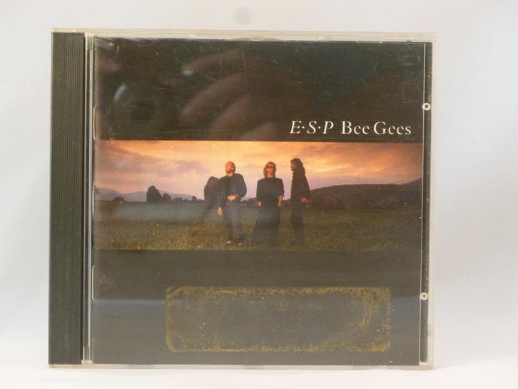 Bee Gees - E.S.P, Cd's en Dvd's, Cd's | Pop, Verzenden
