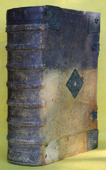 Biblia Germanica - Biblia, Das ist: Die gantze Heilige