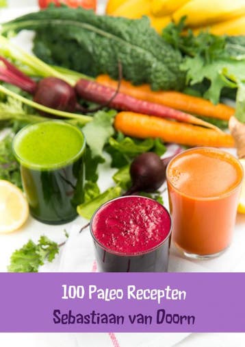 100 paleo recepten - Sebastiaan van Doorn 9789402113273, Boeken, Verzenden, Gelezen, Sebastiaan van Doorn