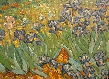 Franse school (XX) - Campo di iris, da Van Gogh, Antiek en Kunst