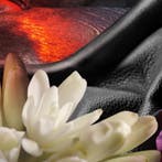 Bvlgari Man In Black Eau de Parfum - 60ml, Ophalen of Verzenden, Nieuw, Overige typen