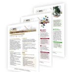 Schoolpakket Kennismaking Insecten, Dieren en Toebehoren