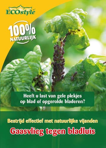 ECOstyle Gaasvlieg tegen bladluizen (50 m²), Verzenden