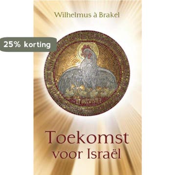 Toekomst voor Israel 9789402902655 C.J. Meeuse, Verzenden, Zo goed als nieuw, C.J. Meeuse