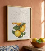 Cirezzi - Lemons - Watercolor Citrus Series