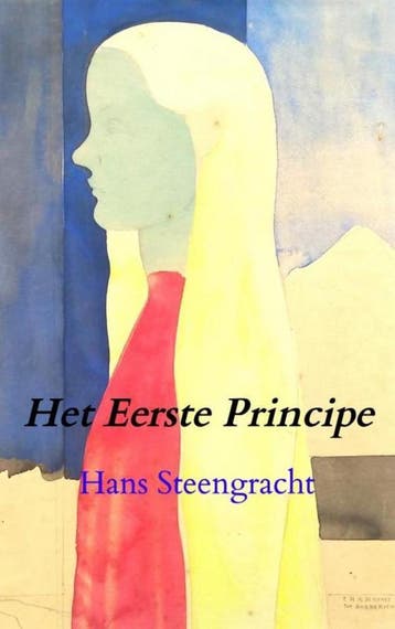 Het Eerste Principe - Hans Steengracht 9789464184914, Boeken, Verzenden, Zo goed als nieuw, Hans Steengracht