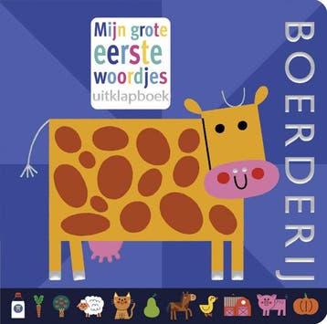 Mijn grote eerste woordjes uitklapboek (Redelijk), Boeken, Verzenden, Gelezen, Teresa Bellón