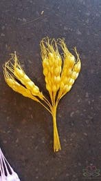 Gerst Foam Geel bundel ca. 10, Ophalen of Verzenden, Nieuw