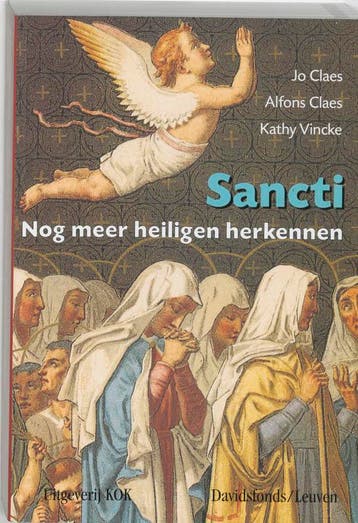Sancti - Jo Claes 9789080829015, Boeken, Godsdienst en Theologie, Verzenden, Gelezen, Jo Claes