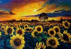 JigSaw Zonnebloemen Legpuzzel 2000 Stukjes Puzzel 97 x 67..., Verzenden, Nieuw