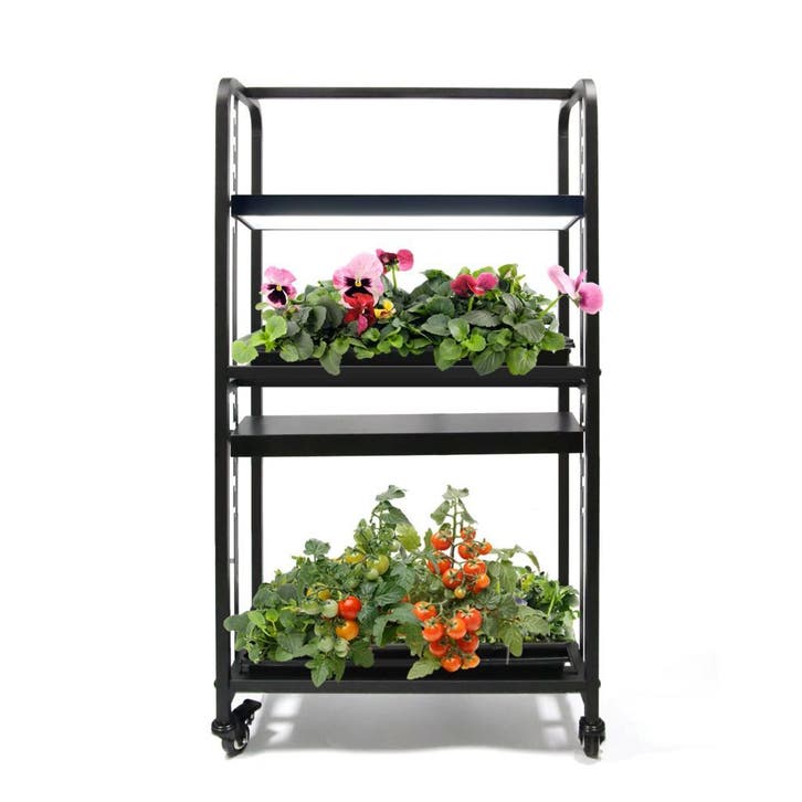 Plantenstandaard met FullSpectrum LEDGroeilampen – 2 Lagen, Tuin en Terras, Kweekspullen, Nieuw, Ophalen of Verzenden