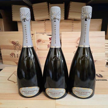 2020 Bellavista, Bellavista Satèn - Franciacorta Satèn, Brut, Nieuw
