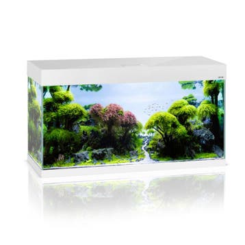 Osaka OptiSet 100 cm Wit (Aquaria & meubels), Ophalen of Verzenden, Nieuw, Leeg aquarium
