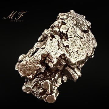 Meteoriet Campo del Cielo – Uitzonderlijk Exemplaar, Verzamelen, Mineralen en Fossielen