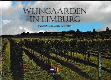 Wijngaarden in Limburg - Bert Salden 9789085960911, Verzenden, Zo goed als nieuw, Bert Salden