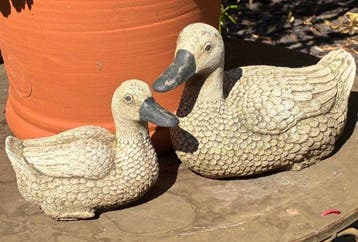 Figuur - Pair of stone ducks - Steengoed, Antiek en Kunst