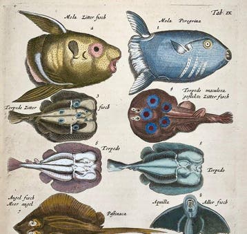 Matthäus Merian (1593-1650) - hand coloured folio,