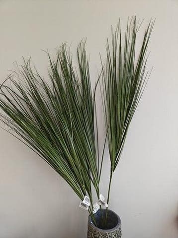 Berengras Toef op draad 88 cm, Ophalen of Verzenden, Nieuw