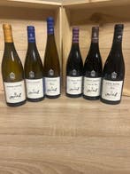 2022 Stéphane Montez Côte-Rôtie Fortis 2023, Cuvée du Papy, Verzamelen, Nieuw