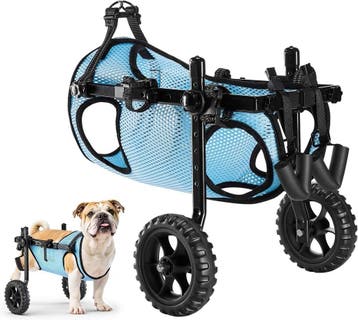 Loopwagen Hond XL | Lichtgewicht | Laatste Stuk!, Ophalen of Verzenden, Nieuw
