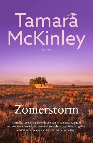 9789026164286 Zomerstorm | Tweedehands, Verzenden, Zo goed als nieuw, Tamara McKinley