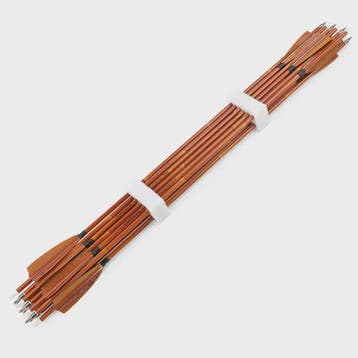 Set van 6/12 Gemengde Carbon Pijlen SP500 - 31.5 inch - Jach, Verzenden, Nieuw