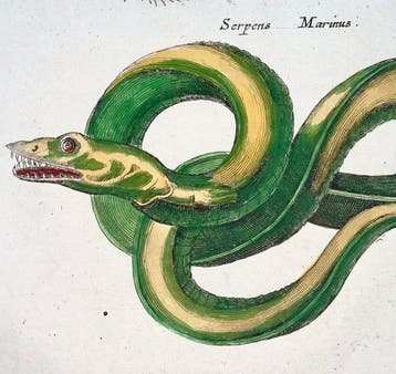 Matthäus Merian (b.1593) Hand coloured folio: Reptiles,, Antiek en Kunst, Antiek | Boeken en Bijbels