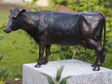 Bronzen beelden/ /geen verzendkosten, Ophalen of Verzenden, Nieuw
