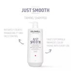 Goldwell Dualsenses Just Smooth Taming Shampoo, Verzenden, Nieuw
