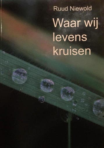 Waar wij levens kruisen - Ruud Niewold 9789087597108, Verzenden, Gelezen, Ruud Niewold
