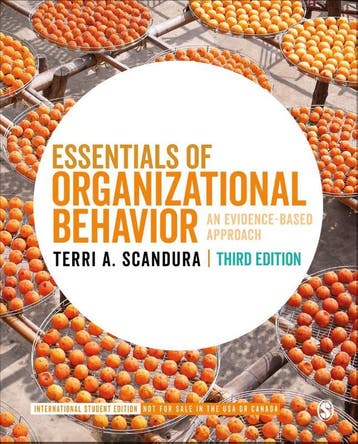Essentials Of Organizational Behavior - International Studen, Ophalen of Verzenden, Nieuw