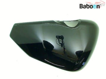 Buddypaneel Rechts Harley-Davidson XL 883 Sportster, Verzenden, Gebruikt