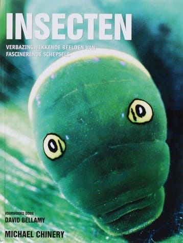 Insecten 9789038917818, Zo goed als nieuw