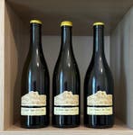 2020 x 2 Domaine Ganevat Les Grands Teppes Vieilles Vignes, Nieuw