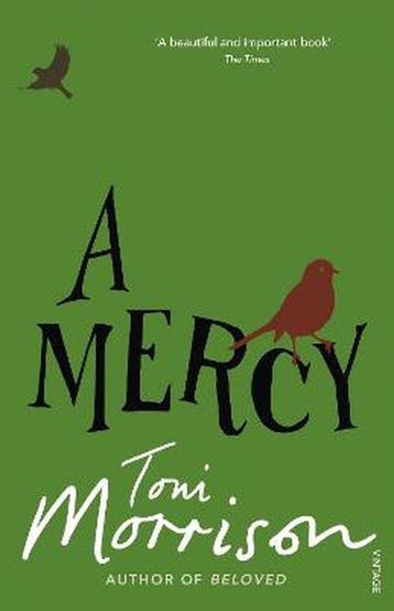 Mercy - Toni Morrison 9780099502548, Verzenden, Gelezen, Toni Morrison