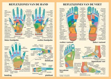 Anatomie poster hand- en voetreflexologie (Nederlands, g..., Nieuw