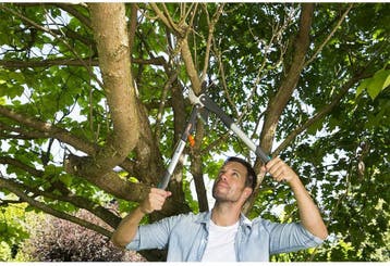GARDENA Comfort Hefboomtakkenschaar SmartCut Takkenschaar -, Ophalen of Verzenden, Zo goed als nieuw
